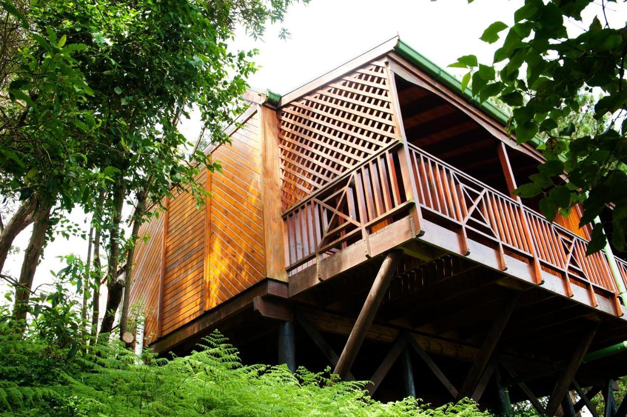 Arendsrus Country Resort Molen Drift Exterior photo
